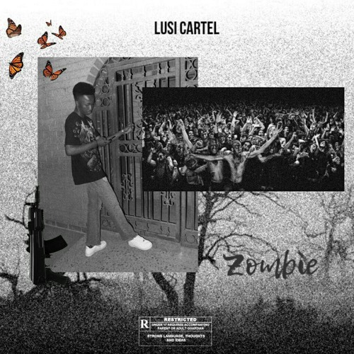 Lusi Cartel-Zombie Interlude (unmastered).mp3