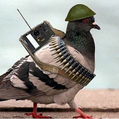 FLY ft Brisko and snoop