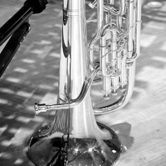 Euphonium Concerto I. Moderato - Joseph Horowitz