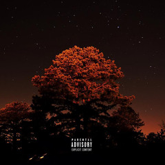 Fall Night (Prod. Young Orange)
