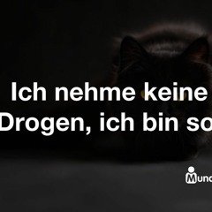 Absolut teile