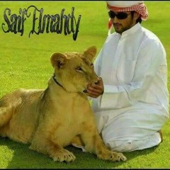 عبدالكريم المالكي القدس وغزه. بوممدلسليماني