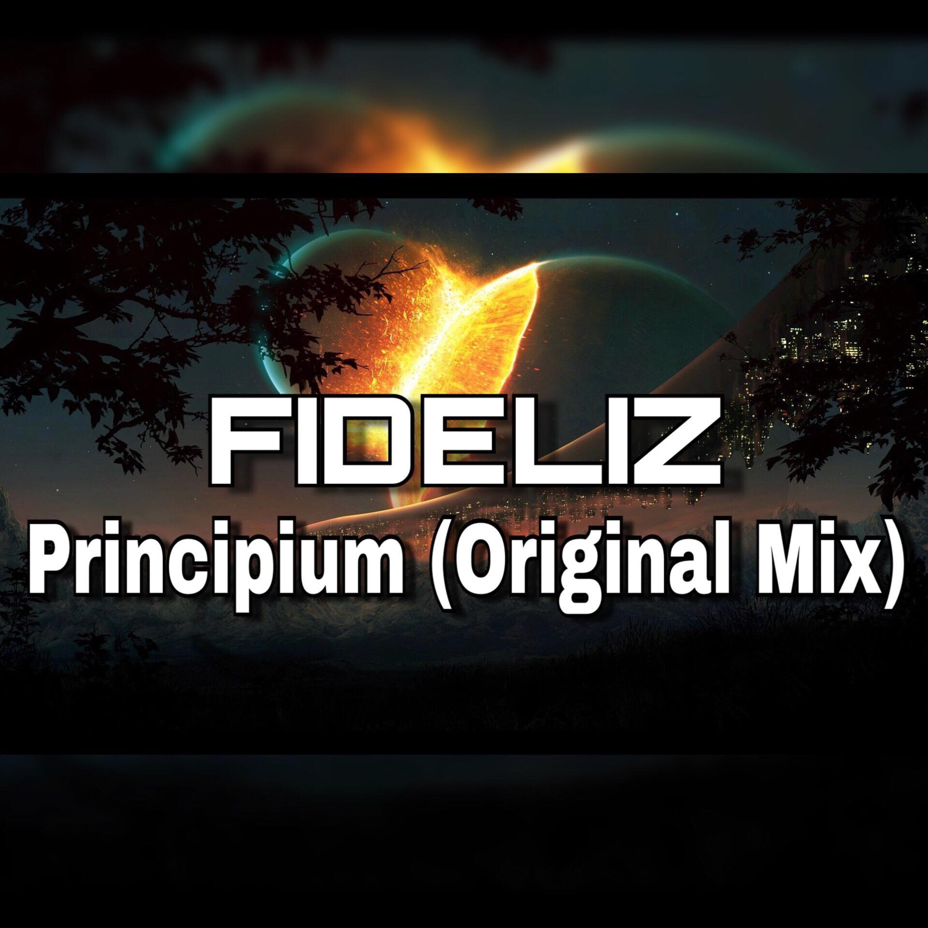 FIDELIZ ▲