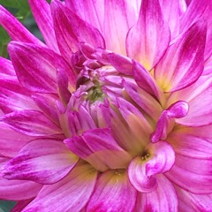 The Legend of El Mustachio