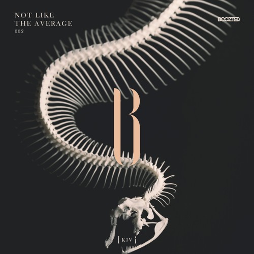 02. K3V & ROOZTER- Reverse Bass