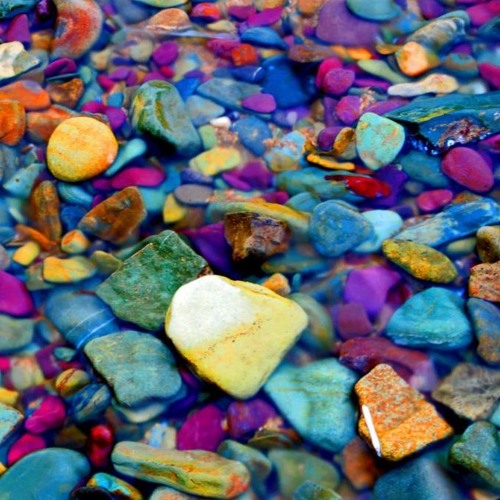 Colorful pebbles on the beach 1310376 Stock Photo at Vecteezy