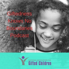 Are Schools Helping Our Gifted Children Reach Their Personal Best?