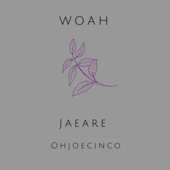 Woah (Prod OhJoeCinco)