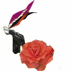 Vulvets - La Garçonne