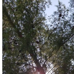 Switch Prod. (Sadderryuken)