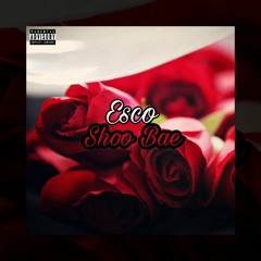 Esco - Shoo Bae