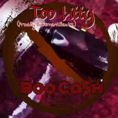 Boo Ca$h-Too Litty (Prod.By BassmentBeatz)