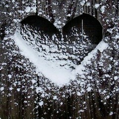 Sweet love moollah365 feat no reason