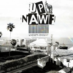 True Color  TrenchBoy x YT x TGC