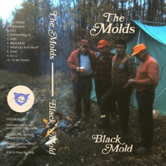 THE MOLDS - "Wild" (Black Mold debut album out 02/23/18)