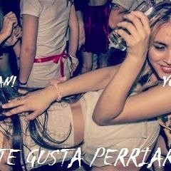 TE GUSTA PERRIAR ✘ DJ CRISTIAN! ✘ YONI MIX