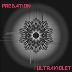 Predation - Innocent