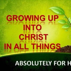 Beauty of the Church