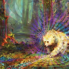 Oso Blanco cover (by boveda celeste)featuring the velvet salmon and Samashti