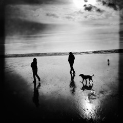 Blinded by The Headlights