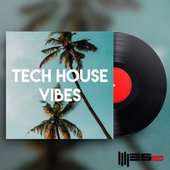 Tech House Vibes
