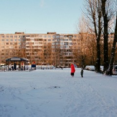 Sun after Snow
