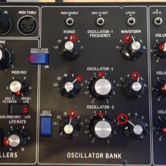 Sweet Truth (Behringer Model D PWM)