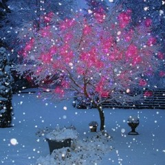 MODERN MARTINA - Please Turn On The Snow (Korg S)