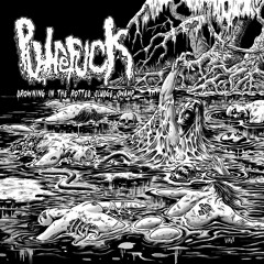 Putrefuck - Dead On Arrival