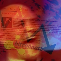 Bitconnect Reflection