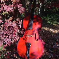 New strings in January
