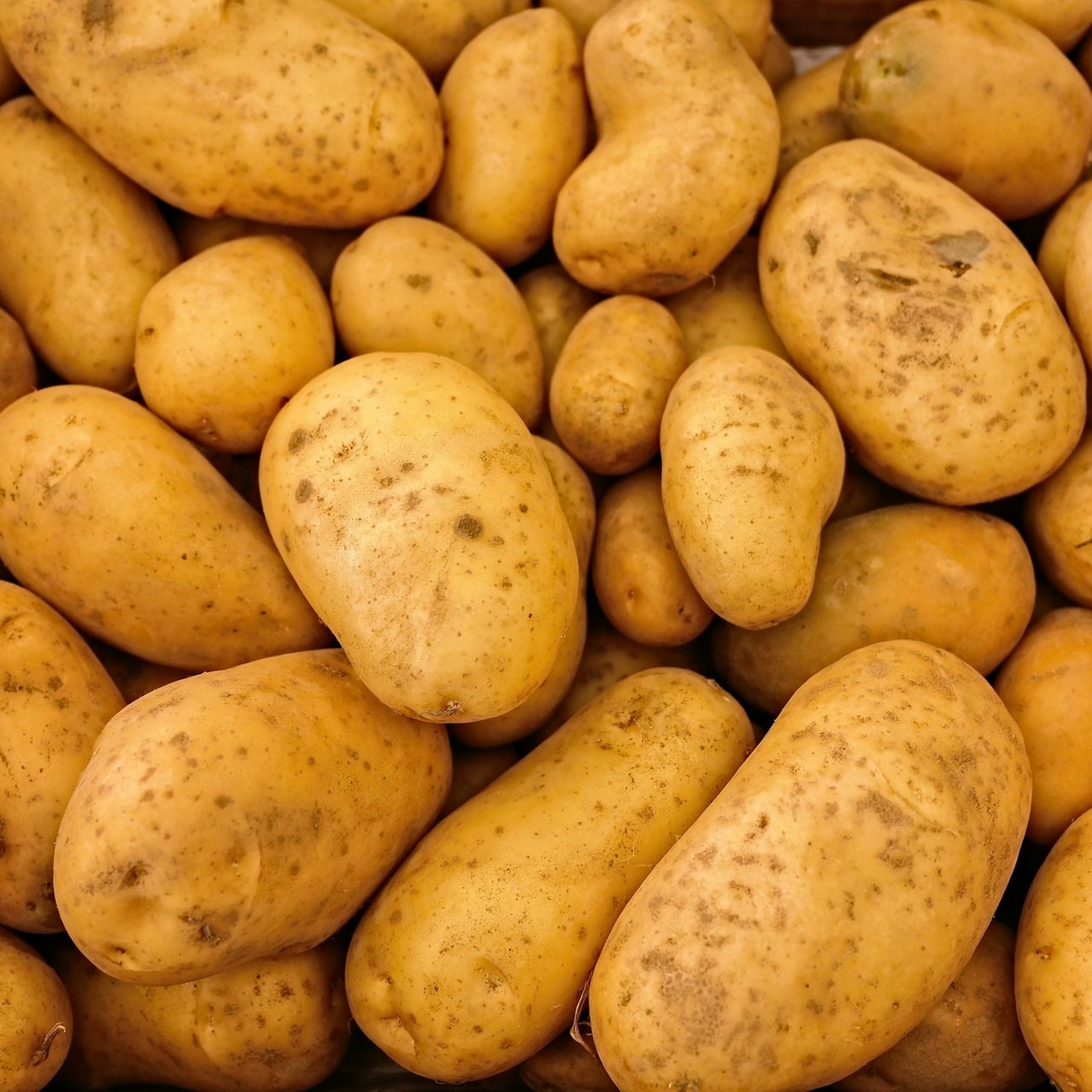 Potato Culture – Exploring Danish Life episode artwork