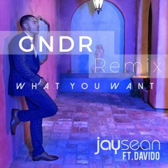 Jay Sean ft. Davido - What You Want (GNDR Remix)
