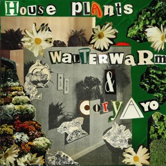 House Plants (preview #2)| Cassette Tape Available Now!