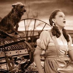 Somewhere Over The Rainbow - Andrew Moncada