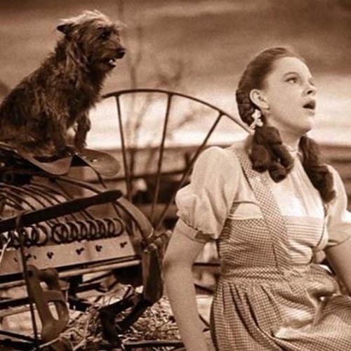 Somewhere Over The Rainbow - Andrew Moncada