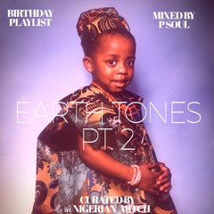 Earth Tones 2 Curated by Mitch From Marketing Mixed by P Soul