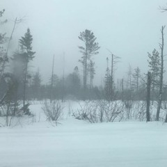 Waiting For (String Quartet)