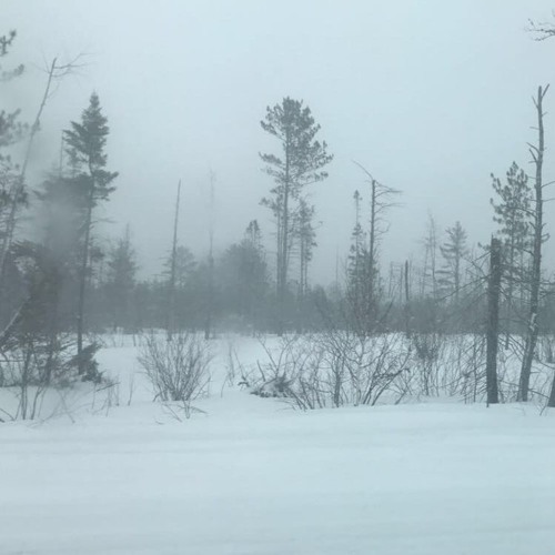 Waiting For (String Quartet)