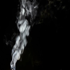 2431 feat. Jaz (prod. by mastr_g)