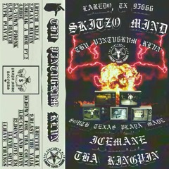 PUNK BIATCH (PROD. PLVNKTXN187 X DXIVI$$)