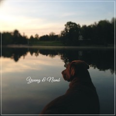 Young & Numb (Prod. Native)