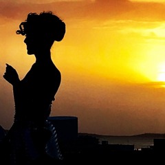 T-Mark & The Funkers feat Norbert Fimpel - Sundown (Vocals by Charles Taylor)