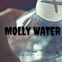 Molly Water - HarveyGanG Ft: DEEZLE