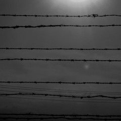 Barbed wire