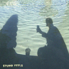 junkie- stupid feels