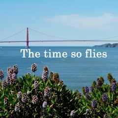 The Time So Flies