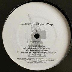 {VINYL/DIGITAL} Owen Ni - Studies - PREVIEW [Calder City Development Corp.]