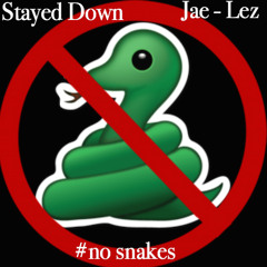 Jae Lez - Stayed - Down