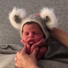 fake lit ft. polo hayes, rapp and latin (prod. dj lunchtable) #talent365 [day 27]